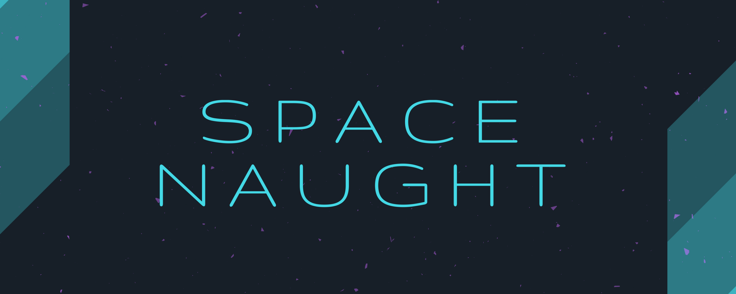 Space Naught Banner